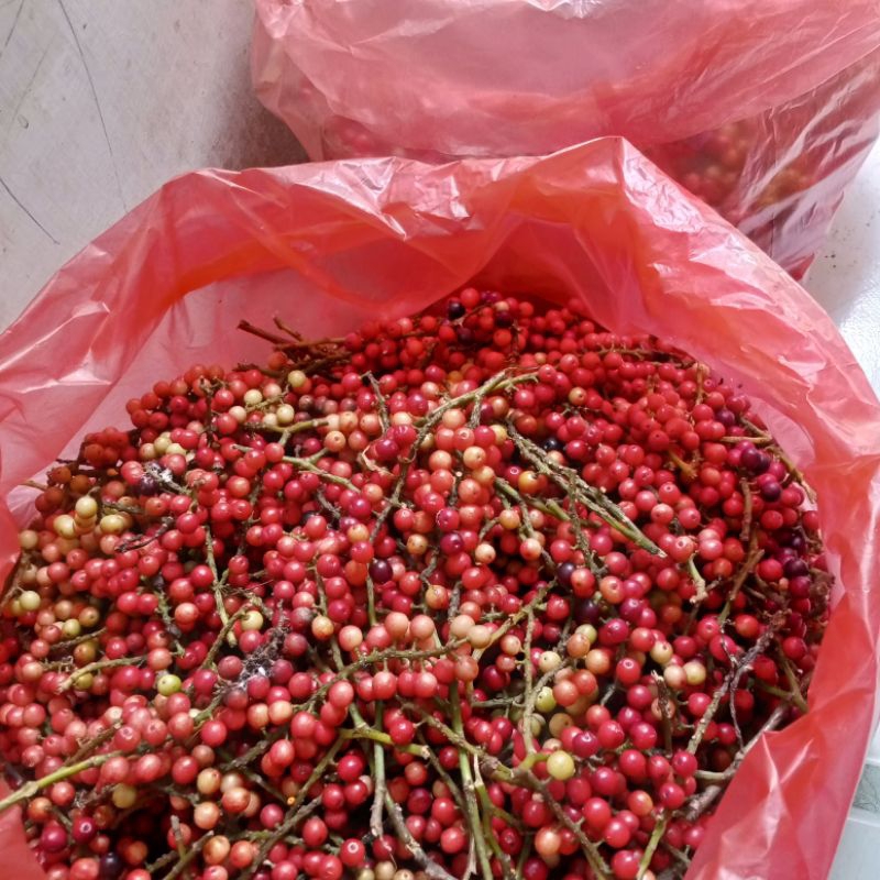 

Buah huni seperempat kilo untuk ibu ngidam