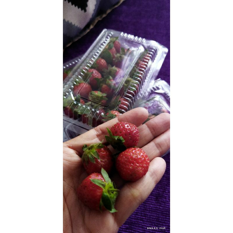 

Strawberry Ciwidey