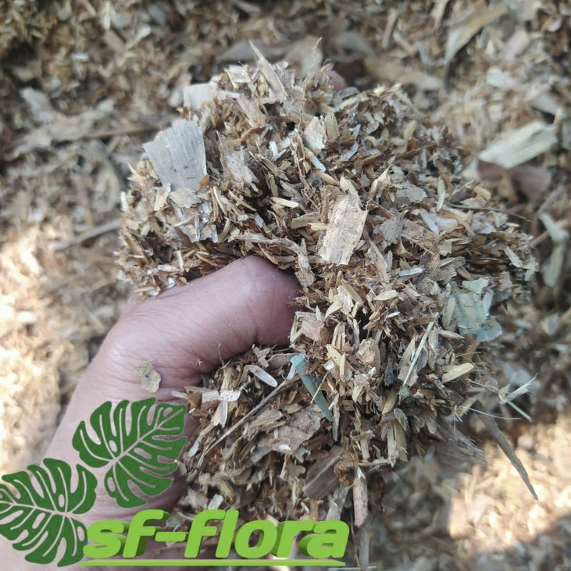 media tanam sekam fermentasi+daun bambu fermentasi