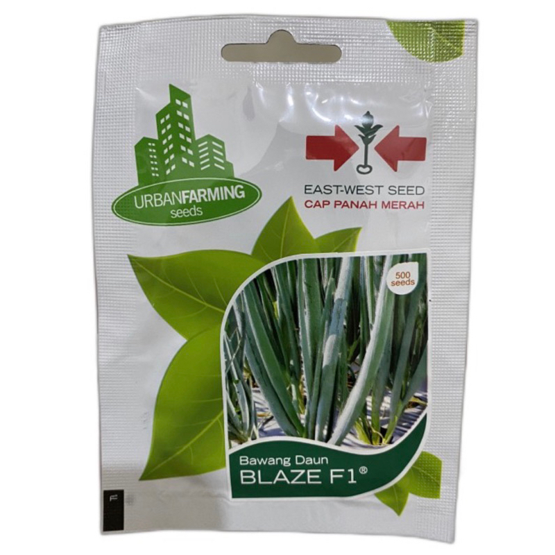 Benih Daun Bawang Blaze Cap Panah Merah