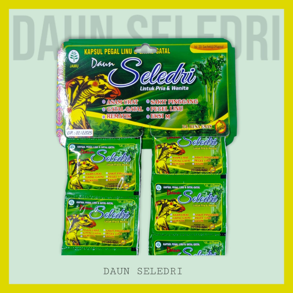 Kapsul Pegel Linu & Gatal-gatal Daun Seledri, Obat Herbal Daun Seledri, Daun Seledri Kapsul, Daun Se
