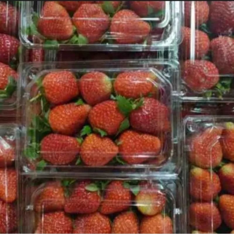 

Buah Strawberry