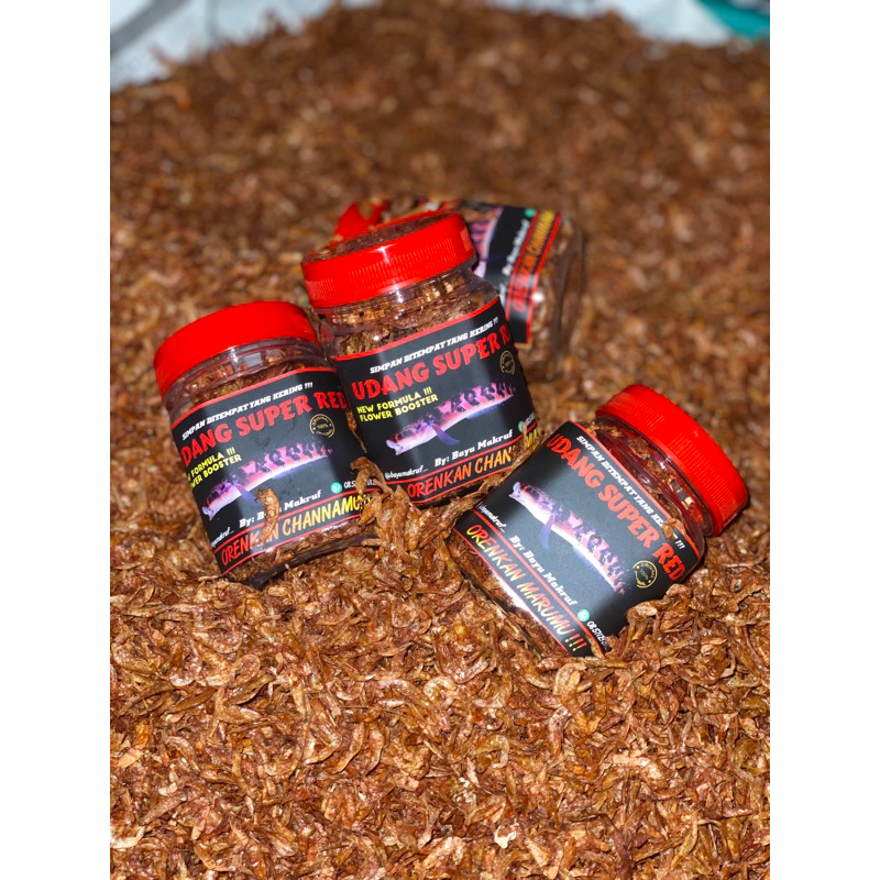Udang Super Red Bayu Makruf