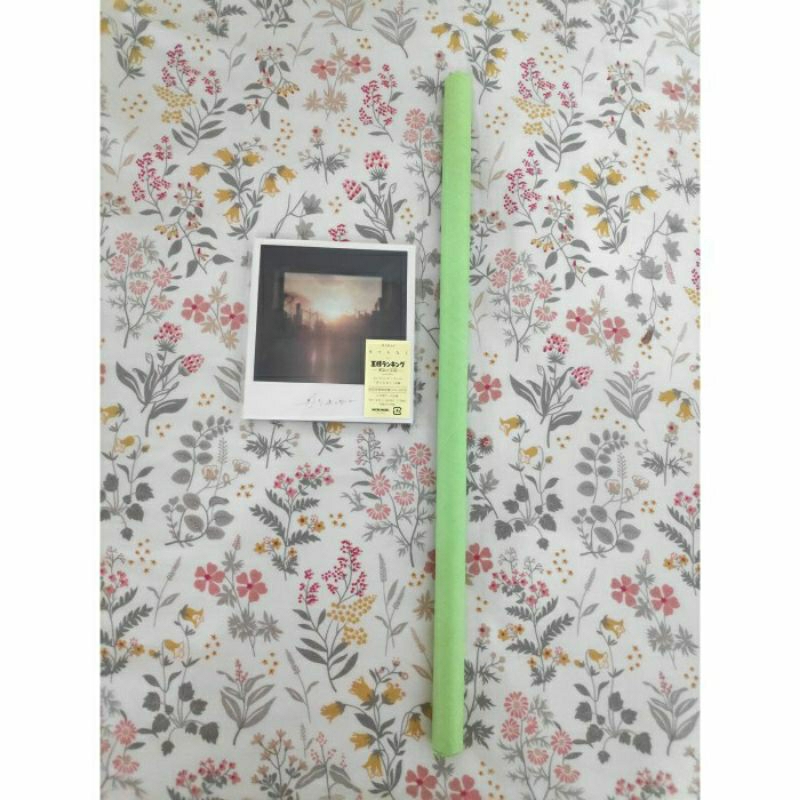 Aimer - Atemonaku Ate mo Naku [CD+DVD] [Limited Edition Bonus Poster]