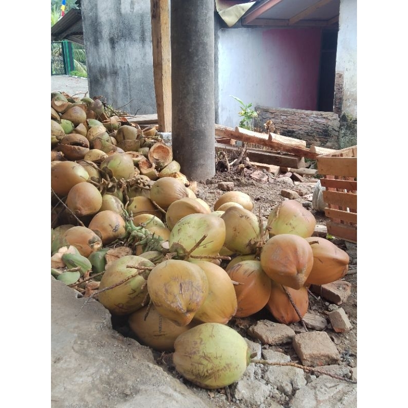 

DagingKelapaMudaSegarBerat1Kg