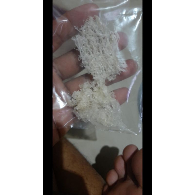 

sarang walet bersih 5gr/ patahan kecil