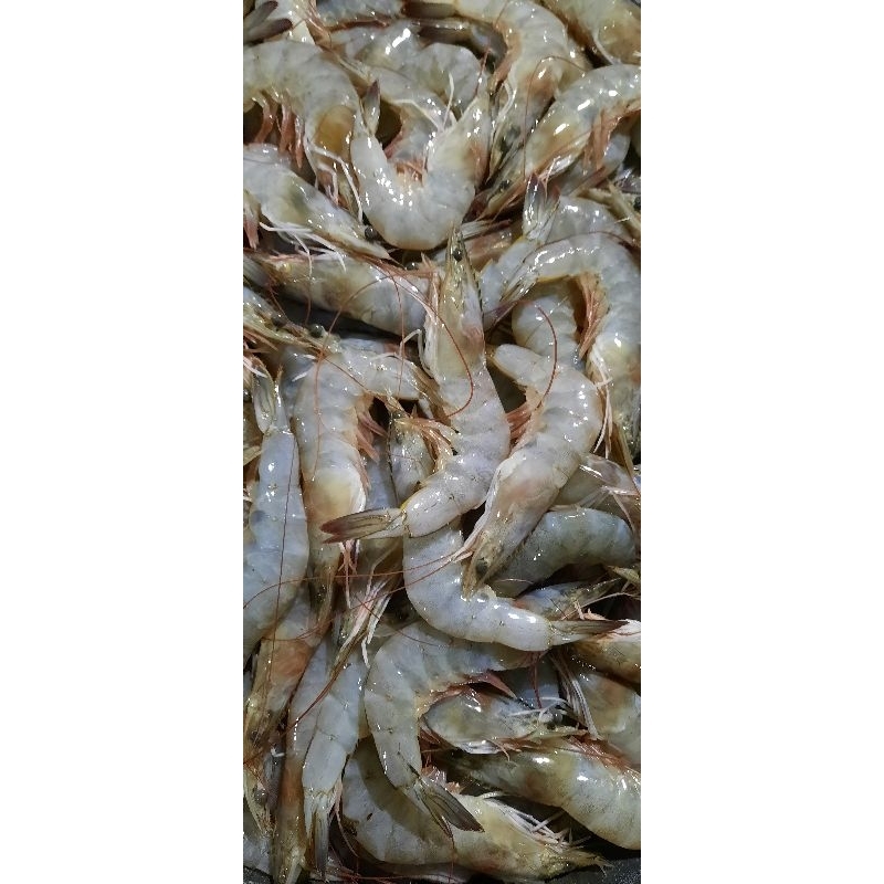 

Udang Vanamee 500g