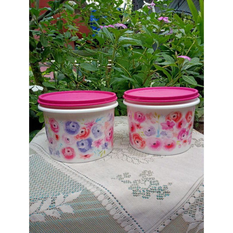 Canister Tupperware