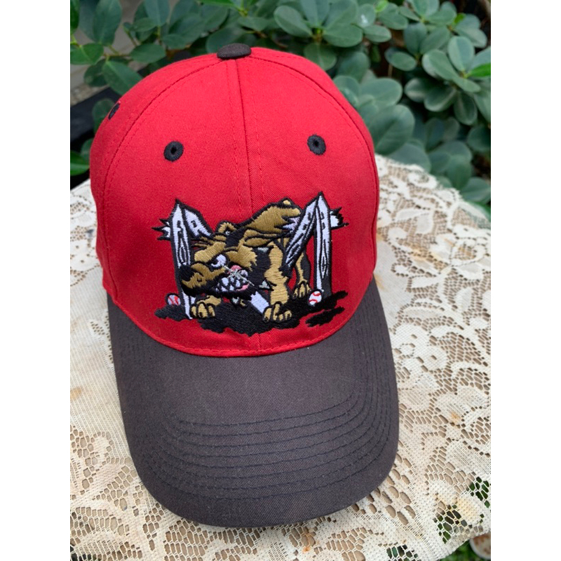 Michigan Strapback Baseball Cap Two Tone