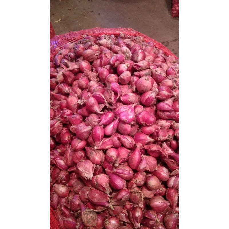 

Bawang Merah Brebes G