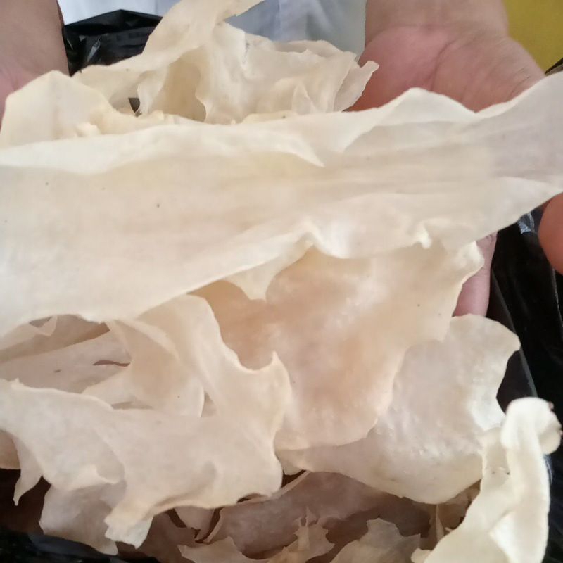 

KRIPIK GADUNG ASLI SITUBONDO