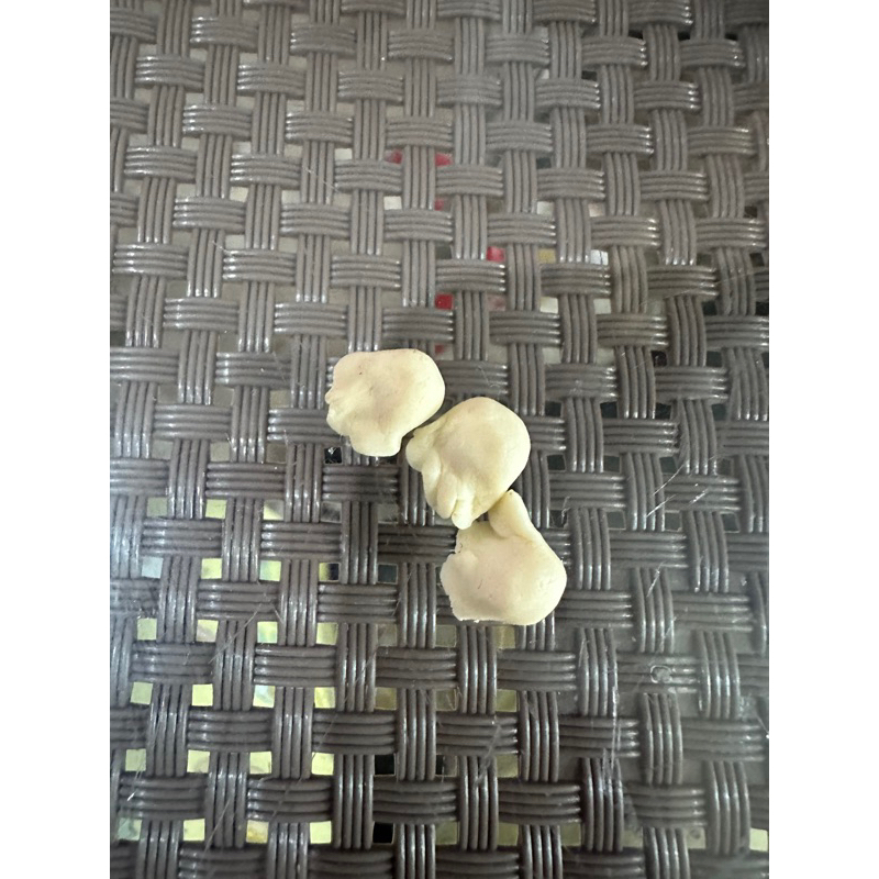 miniatur pempek kapal selam