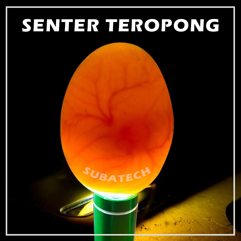 Senter Teropong Telur Untuk Mesin Tetas Telur