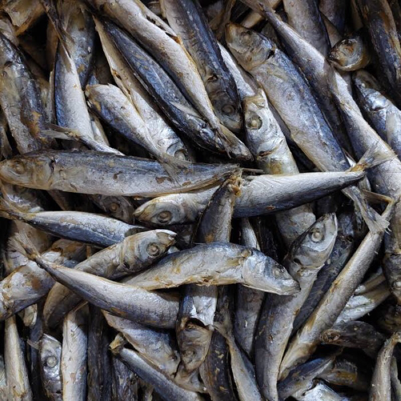 

Ikan Asin Pedo Japuh 1 Kg Grosir Termurah