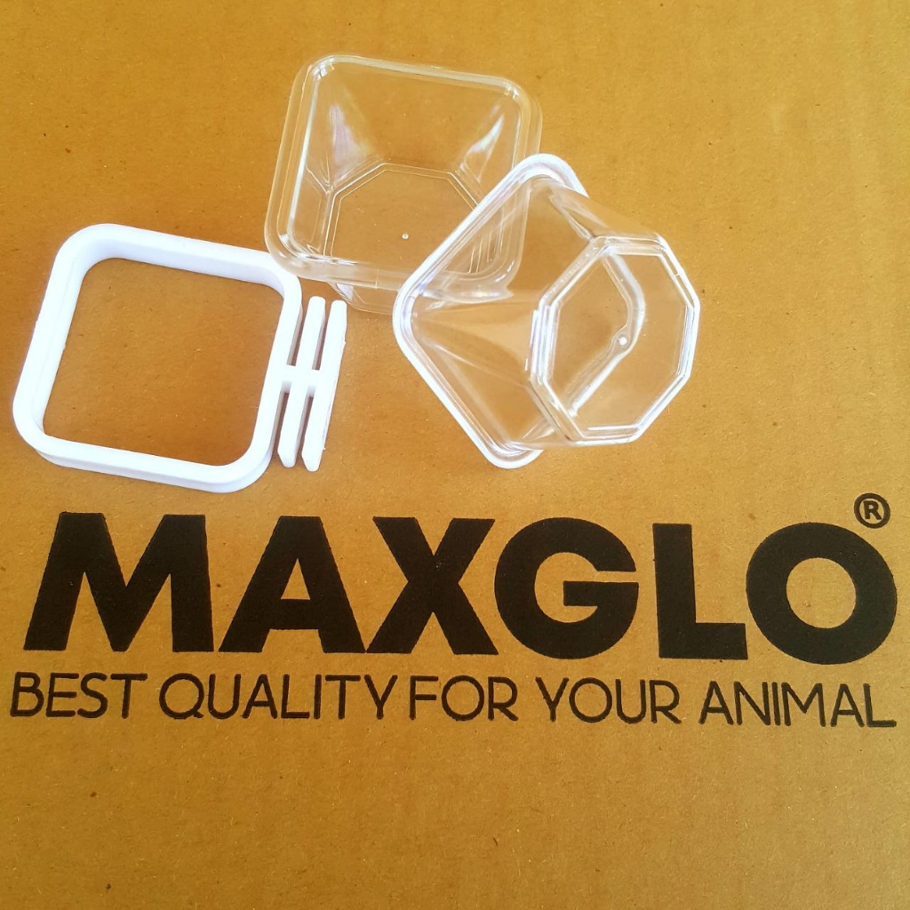Wadah Cepuk Segi 8 MAXGLO MAX GLO untuk Makanan dan doping Pleci, Kenari,Kacer ,Muray dll tanpa meru