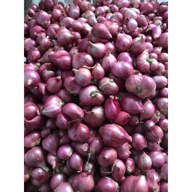 

BAWANG MERAH/ BRAMBNG 1kg