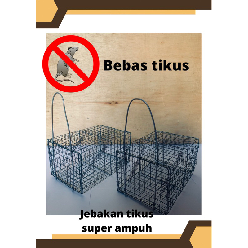 jebakan / perangkap tikus paling ampuh dan mujarap tahan banting (gratis packing dus )