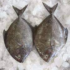 

MURAH DAN BERKUALITAS GRADE A / IKAN BAWAL HITAM LAUT 500gr - 1kg / BLACK BAWAL FISH / FROZEN FISH / IKAN BAWAL HITAM LAUT UTUH SEGAR JUMBO