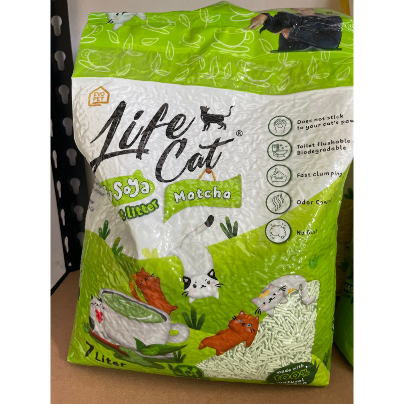 Pasir tofu life cat