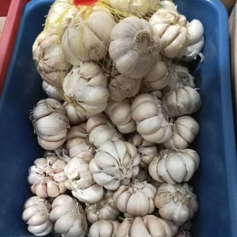 

bawang putih kating 1kg