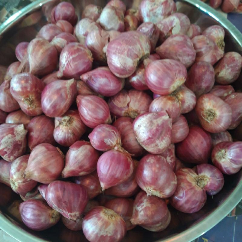 

Bawang Merah Besar(1kg)