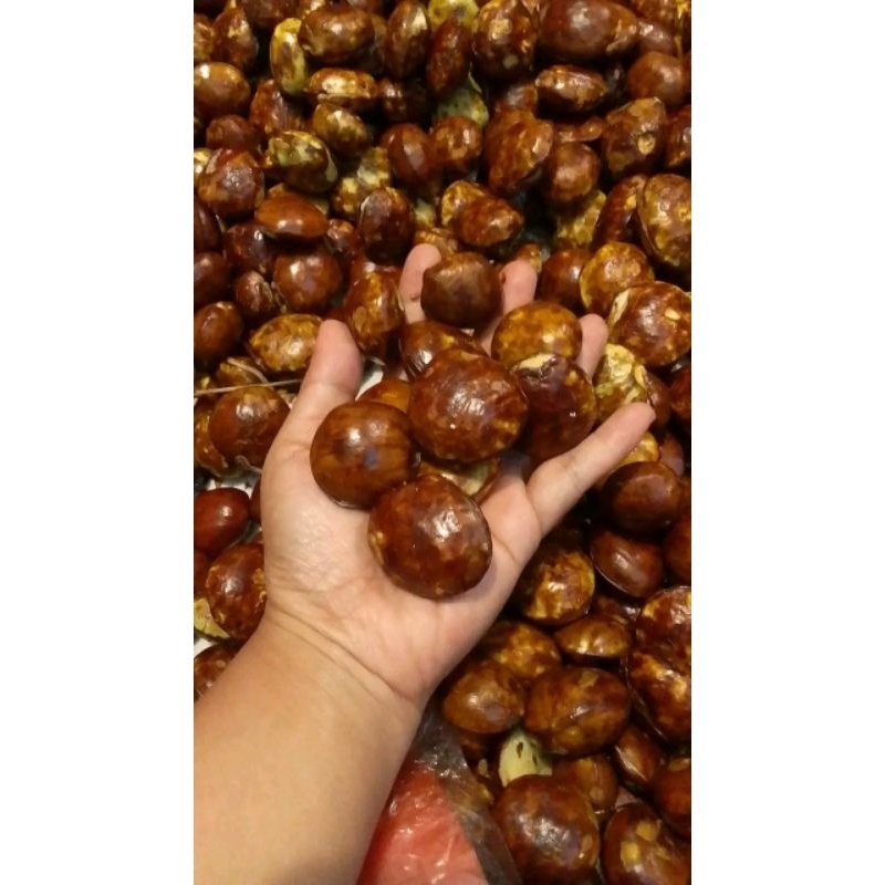 

jengkol