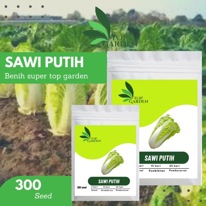 TOP GARDEN BENIH SAWI PUTIH BIBIT SAYURAN SAWI PUTIH