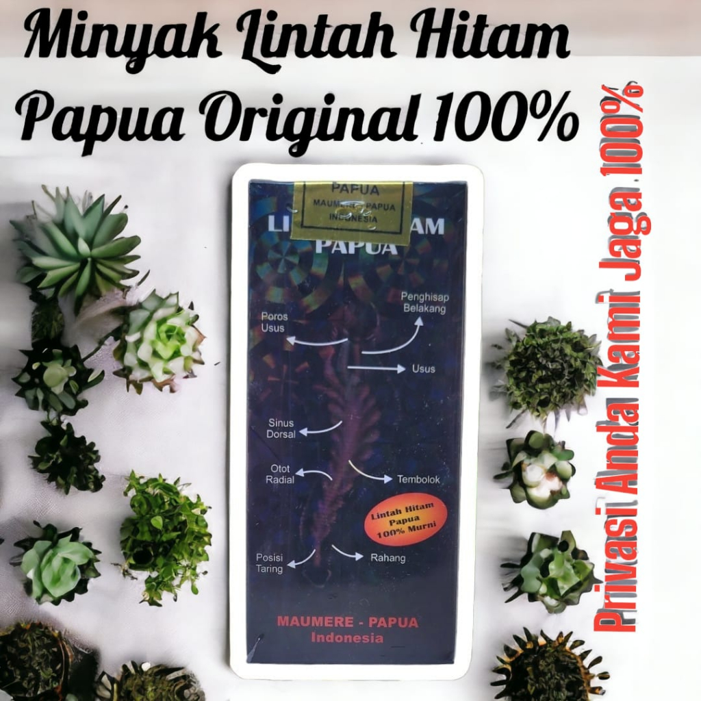 Minyak Lintah Hitam Papua asli 100% Minyak Pebesar Penis Obat Pembesar Kelamin