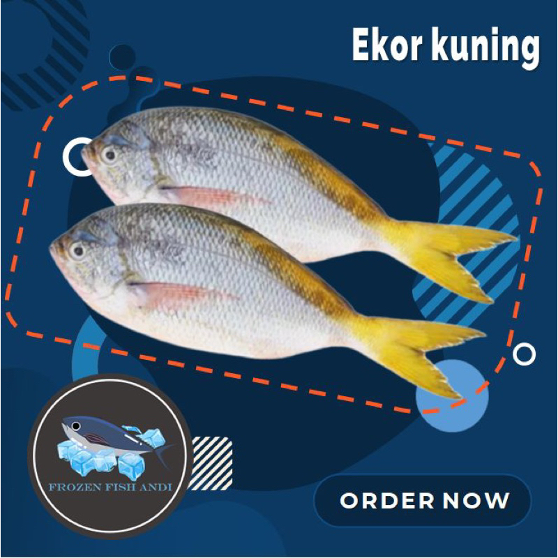 

ikan ekor kuning laut segar grade a