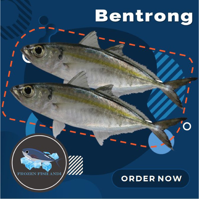 

Ikan kembung bentrong banjar segar beku
