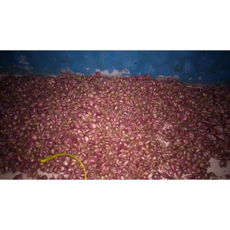 

bawang merah Brebes super 500 gram