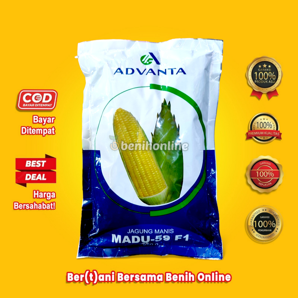 BENIH JAGUNG MANIS HIBRIDA - MADU - 250 gram