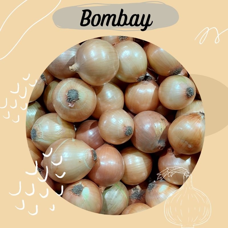 

Bawang Bombay ½ kg