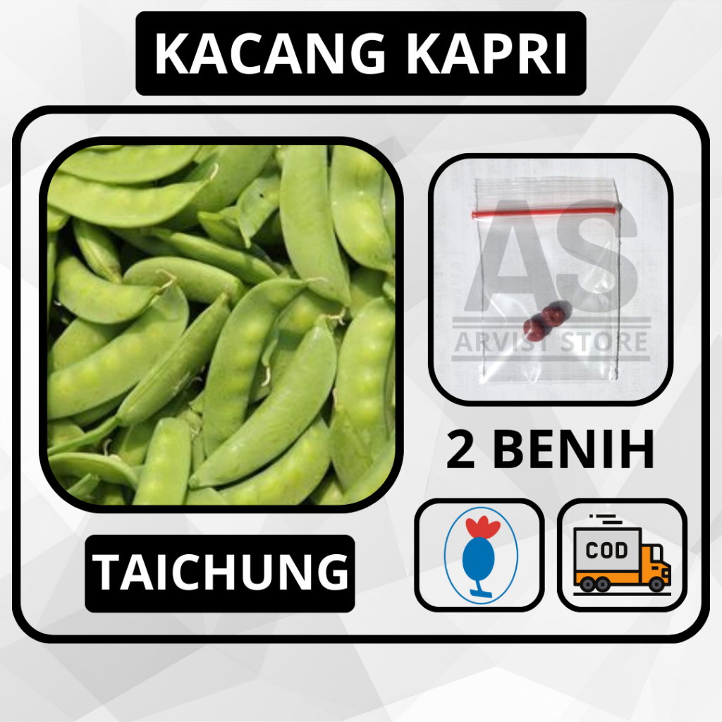 2 Butir - Kacang Kapri TAICHUNG Polong Known You Seed Bibit Sayuran Tanaman