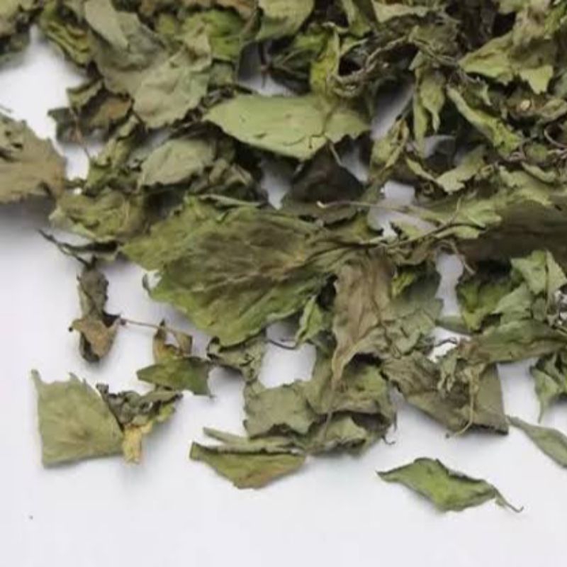 

Daun Kumis kucing Kering Khusus Daun Tanpa Batang Herbal Alami