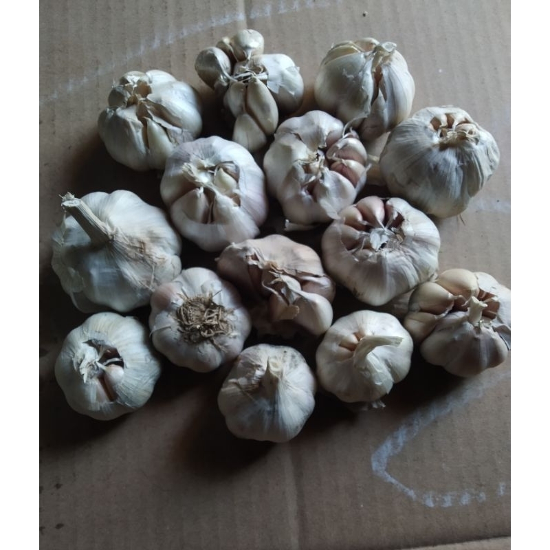 

Bawang Putih / Garlic 1kg