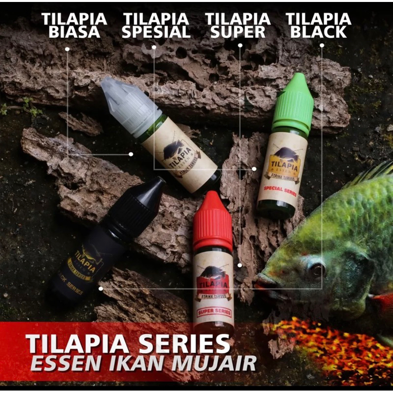 

TILAPIA ESSEN IKAN NILA IKAN MUJAER LUMUT LUKUT