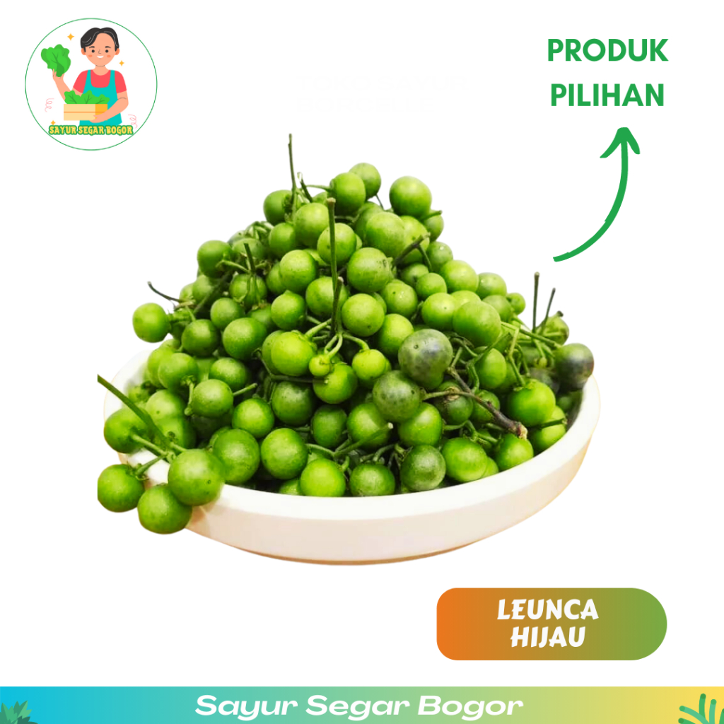 

Leunca Hijau Fresh Leunca Sayur Luenca lalap leunca enak