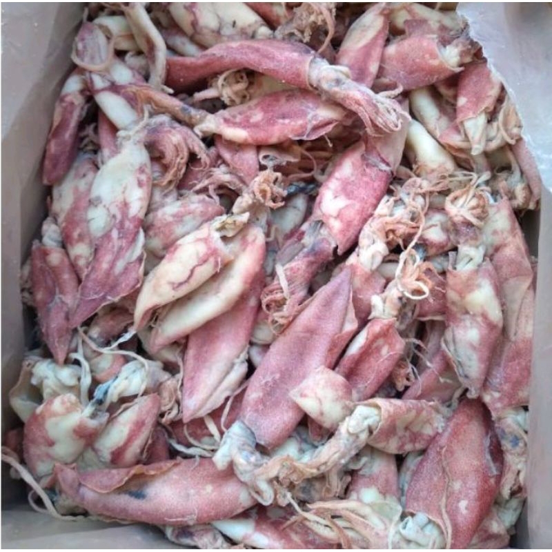 

paket hemat Cumi asin kering