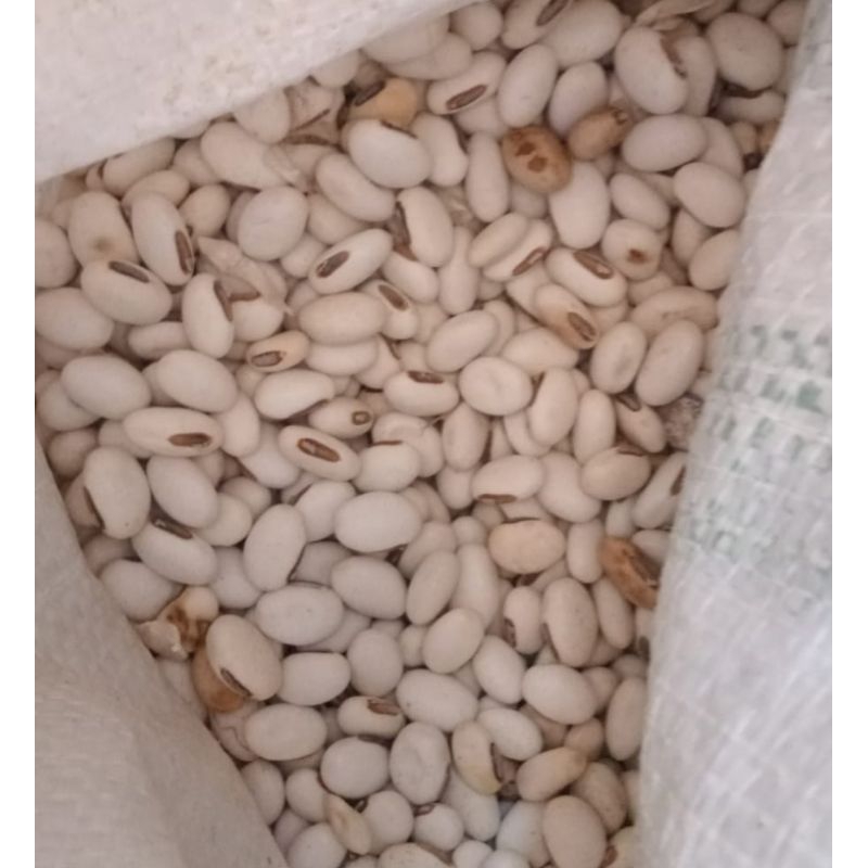 

kacang koro wonogiri500 gram