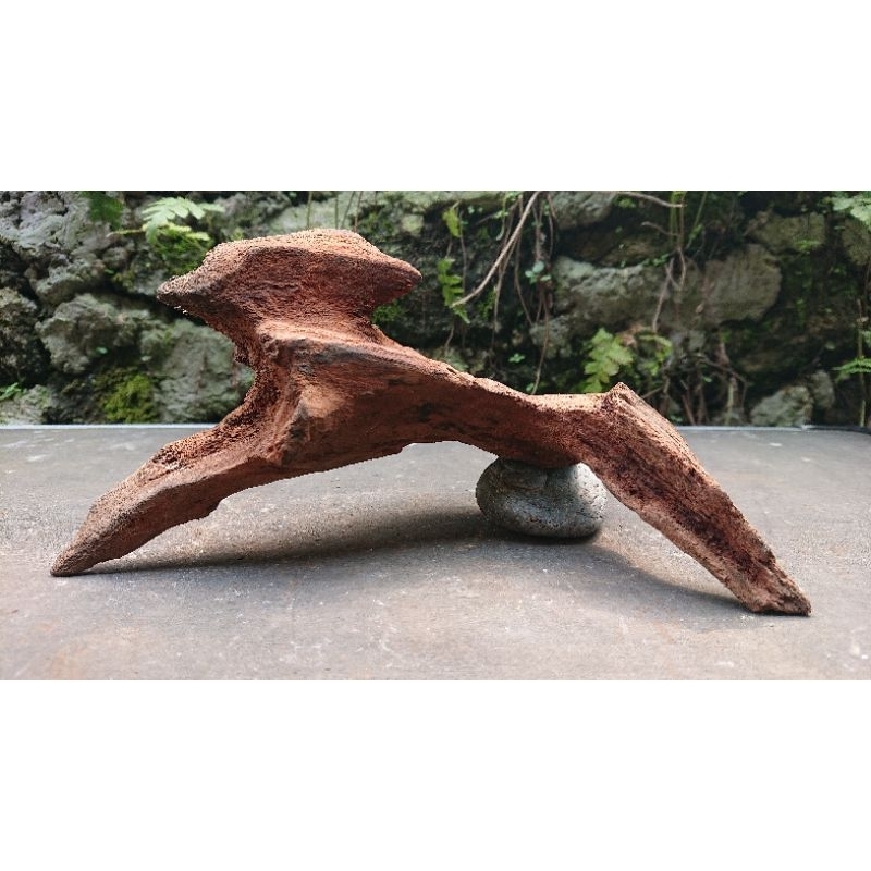 kayu rentek Mini runcing sudah tenggelam