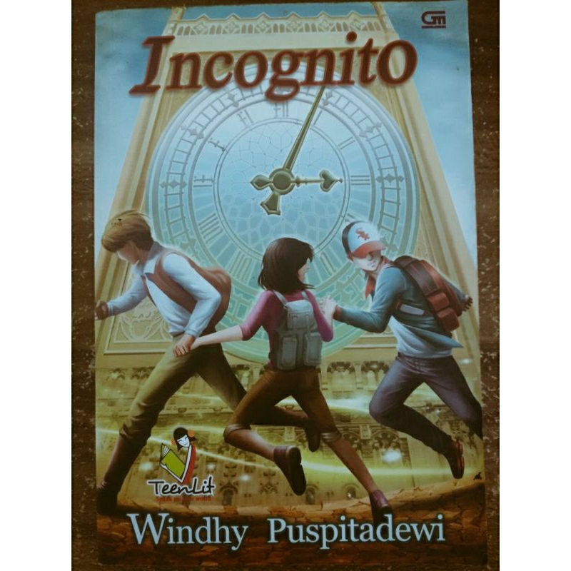 Buku Novel Incognito