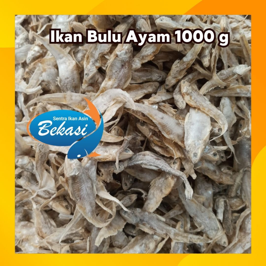 

Ikan Asin Bulu Ayam Ukuran1000 gram