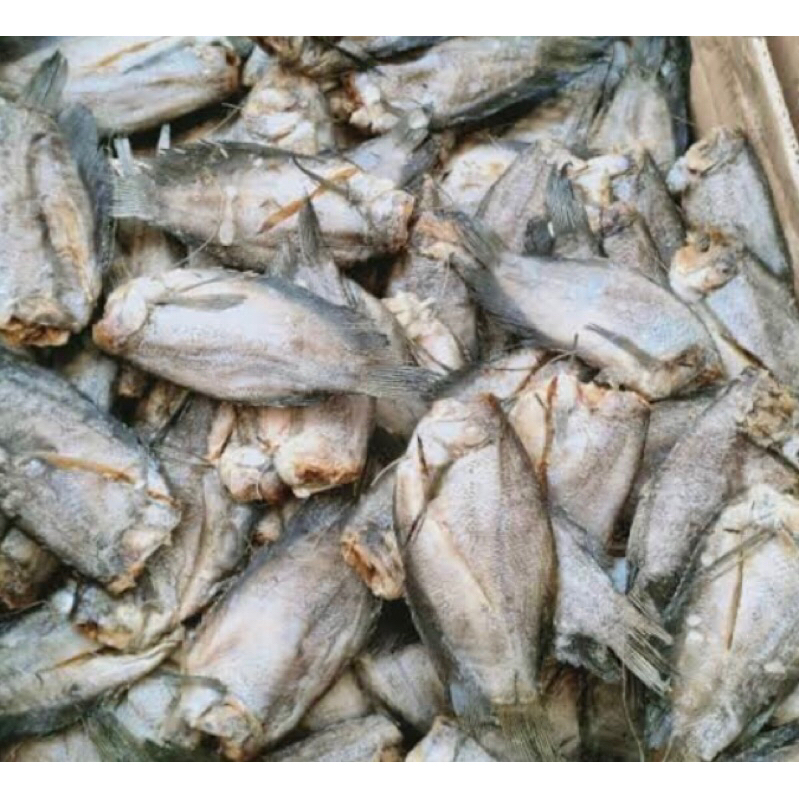 

ASIN SEPAT BESAR 1/4 FRESH