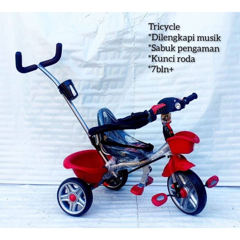 Sepeda Anak Roda 3 Tricycle Family Verde F 8105 New 100% Original