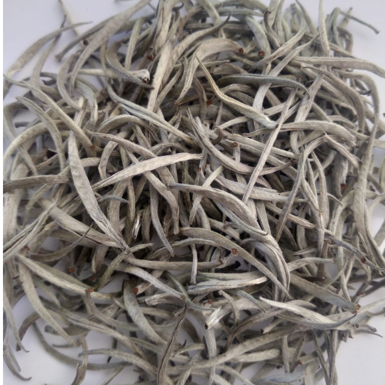 

Teh Putih Premium White Tea Silver Needle 25 gram
