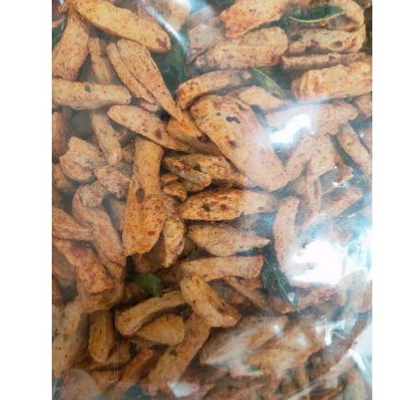 

Basreng Daun Jeruk Pedas Gurih 500 gram