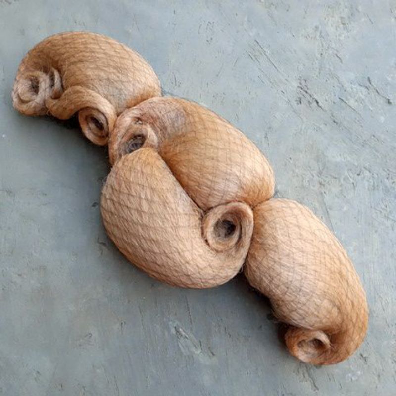 sanggul bali panjang  / ekor baya