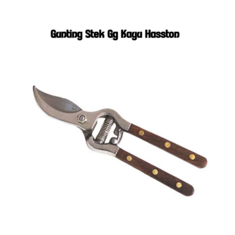 Gunting bunga stek gagang kayu Hasston Prohex