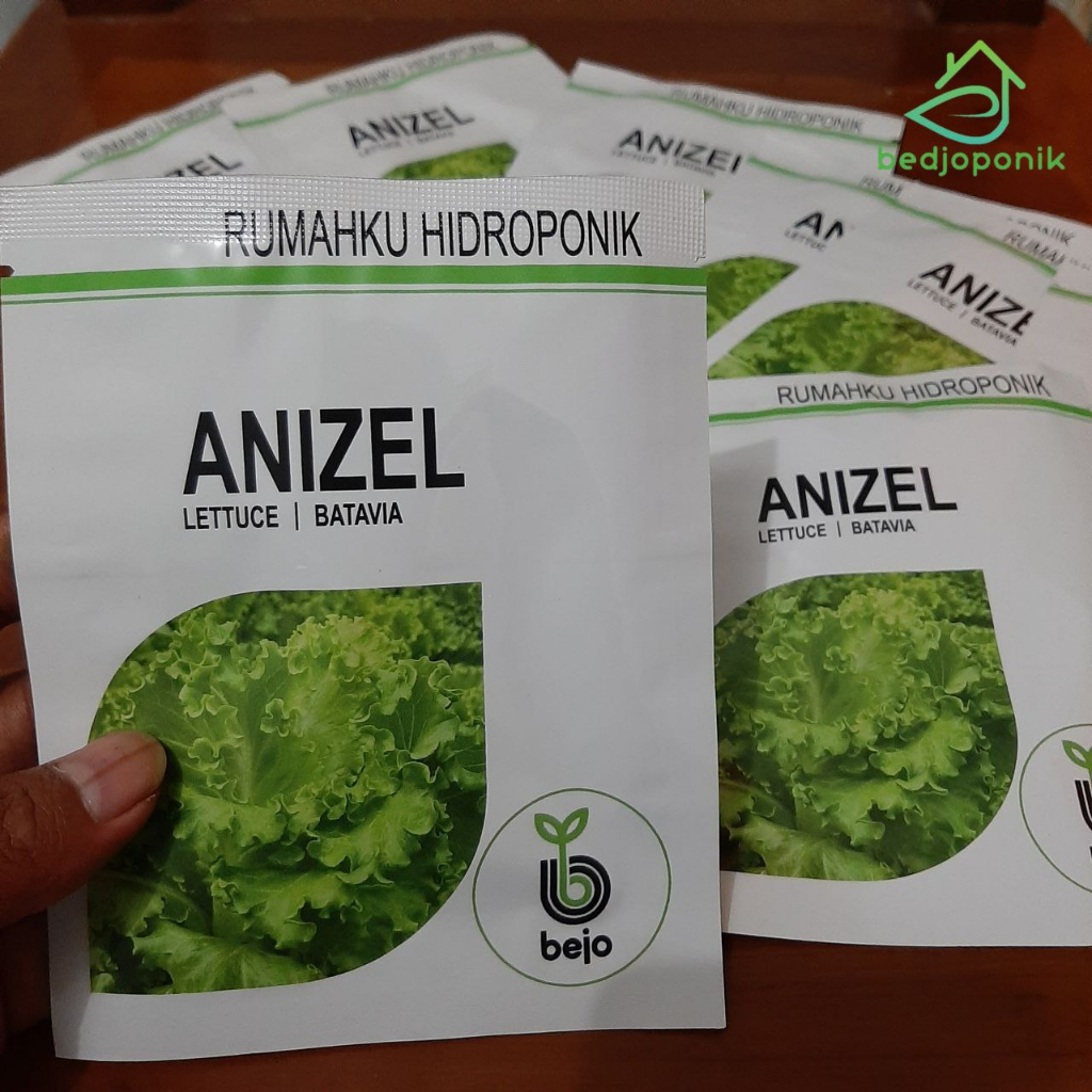 Benih ANIZEL 5gr - Anizel bejo - Benih Selada bejo - Benih selada import